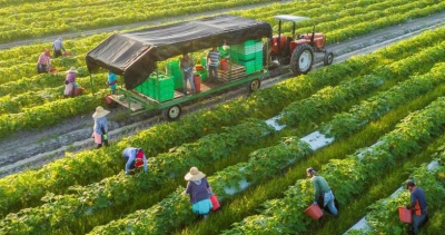 Nông nghiệp xanh: Chìa khóa cho tương lai bền vững